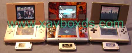 Nintendo DS