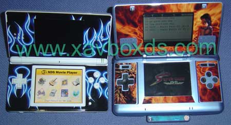 skin DS et DS Lite